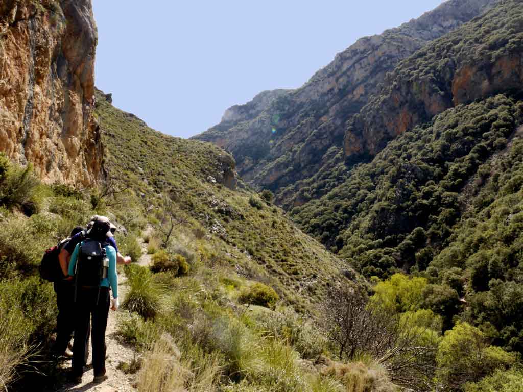 Ruta Granada